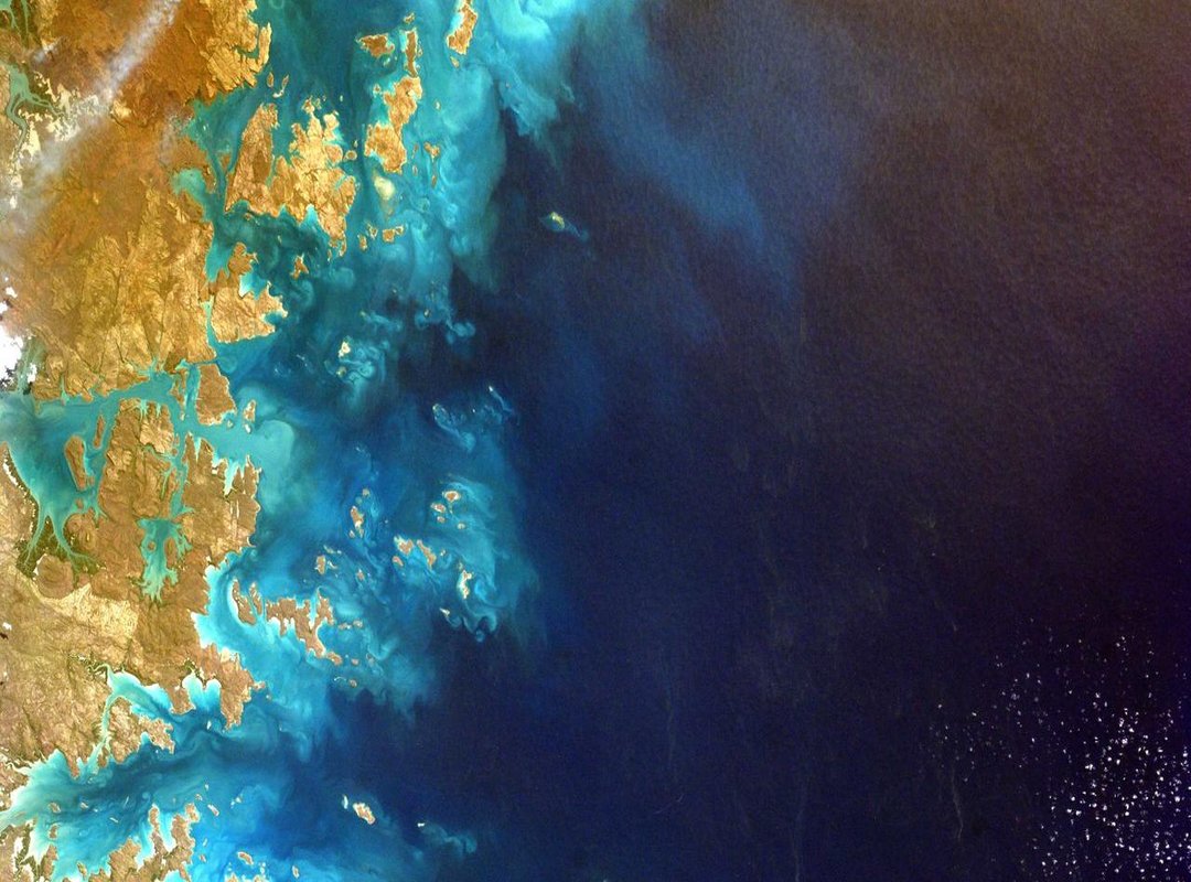 The Weight of a Rose: On Being Responsible for Your Friends