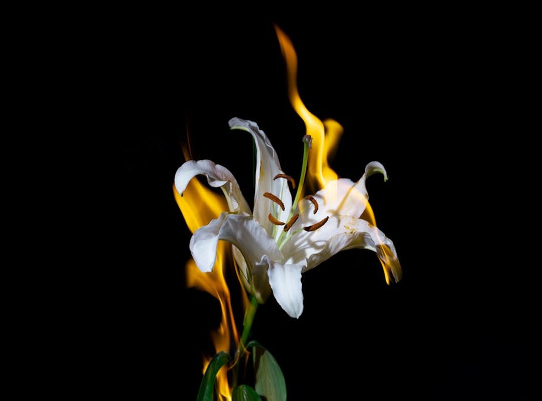 From Flowers to Flames: What Your Specific Design Says