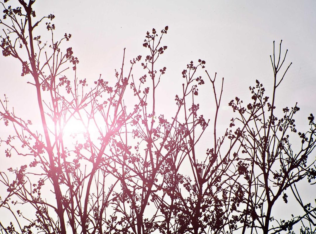 Staying Safe: How to Avoid Bad Links and Malware